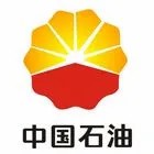 中国石油天然气集团有限公司（中石油）